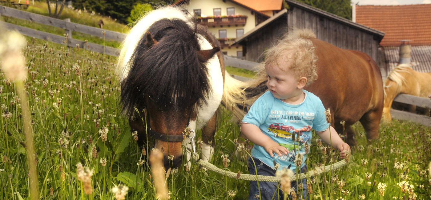 Urlaub mit Kindern im Bayerischen Wald
